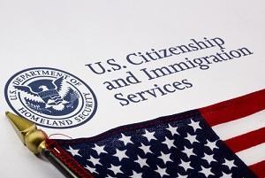 Illinois immigration attorney, U.S. immigration process